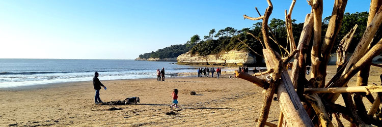 plage sable fin